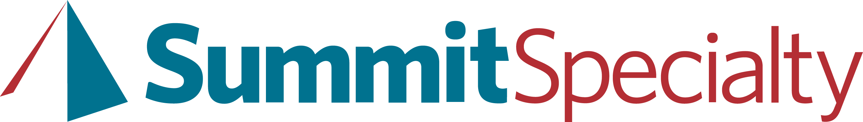 ReAlign Insurance Holdings Subsidiaries include National Summit, Summit Specialty, and American Summit